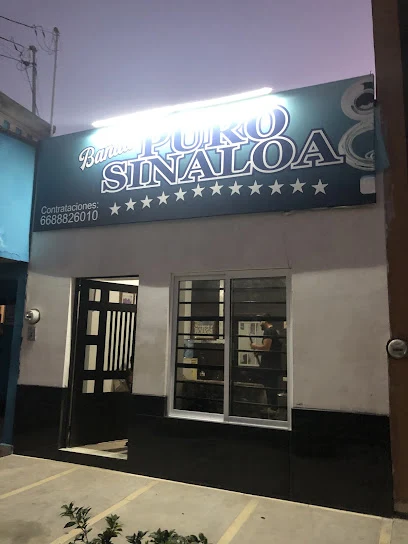 Banda Puro Sinaloa