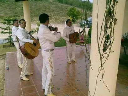 Mariachi económico en Monterrey Nuevo León