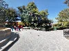 Mariachi en san Luis Potosí y sus alrededores