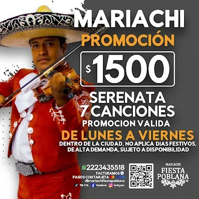 Mariachi Fiesta Poblana