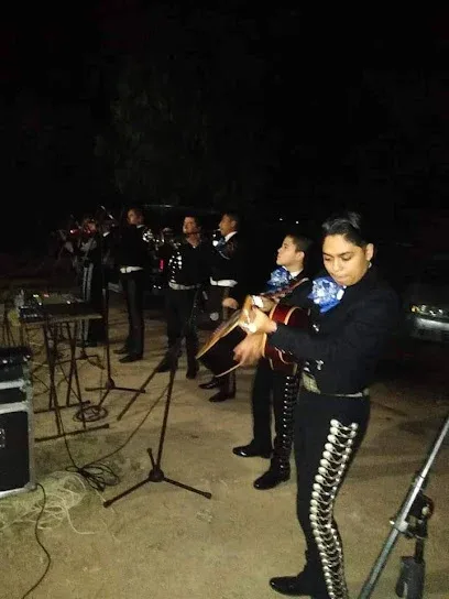 Mariachi Juvenil Son De Mi Tierra