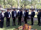 Mariachi Viva México